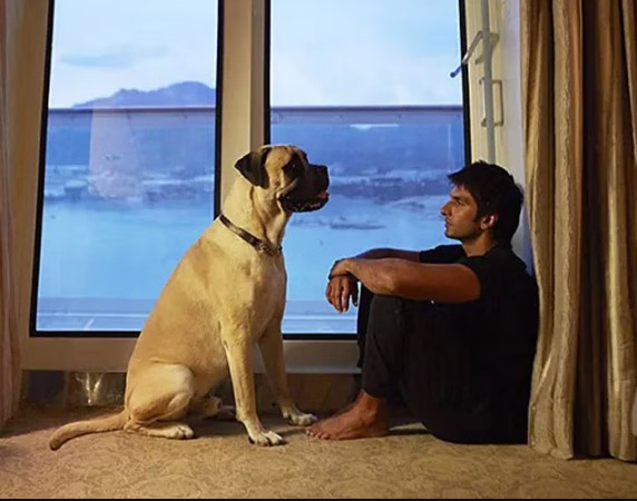 प्रियंका चोपड़ा-रणवीर सिंह ने इस फिल्म में निभाया था भाई-बहन का किरदार