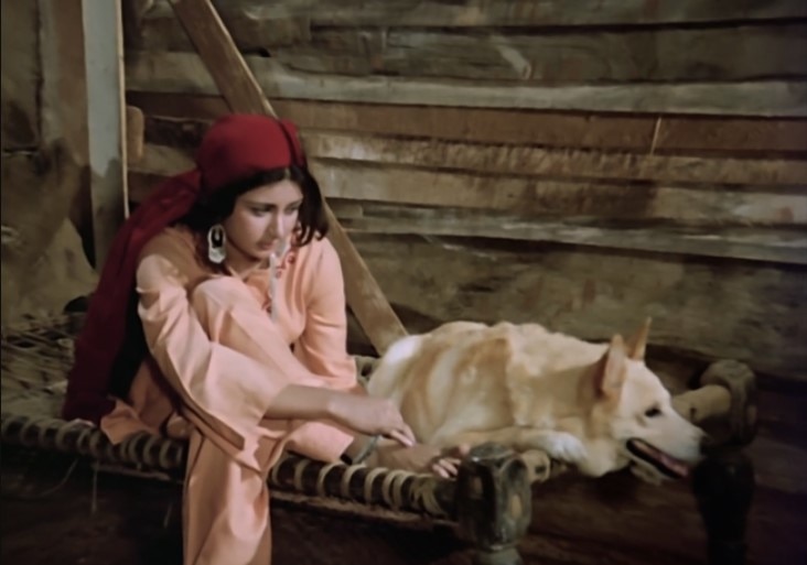 इस फिल्म में खैरू था कुत्ते का नाम