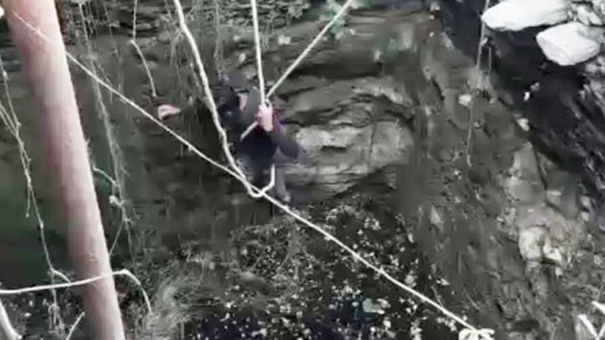 अजगर का रेस्क्यू (Photo Aajtak)