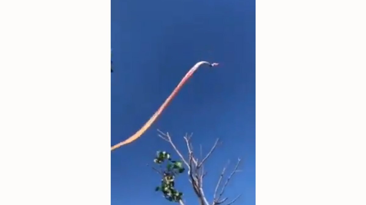 पतंग के साथ हवा में उड़ी बच्ची (फोटो वीडियो ग्रैब)