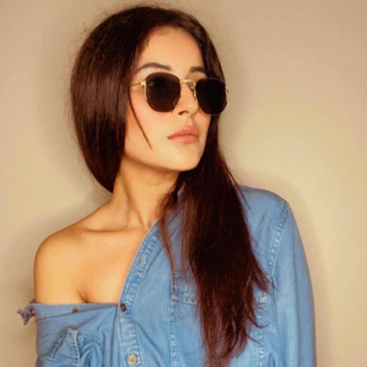 शहनाज गिल