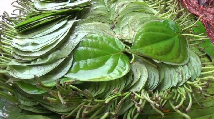 मछली बाजार पर आंध्र प्रदेश और बंगाल ने जमाया कब्जा.