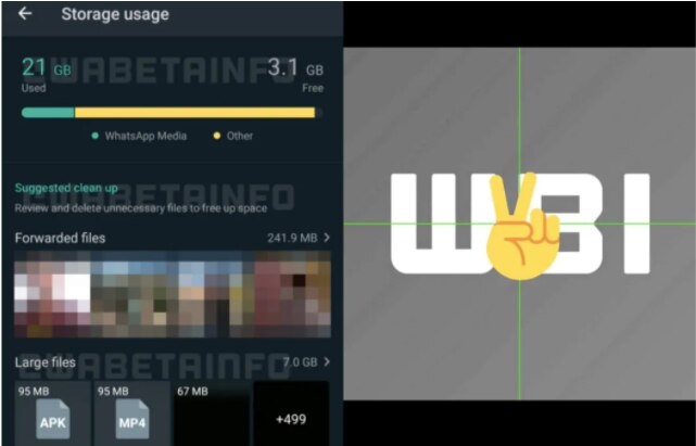 WhatsApp media guideline