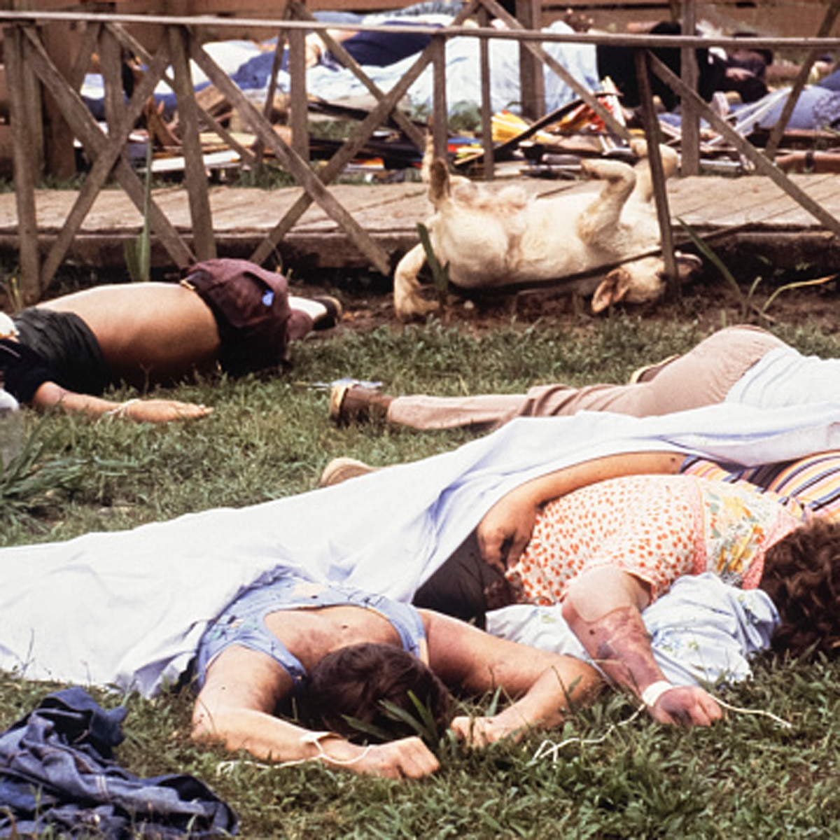 जोनसटाउन