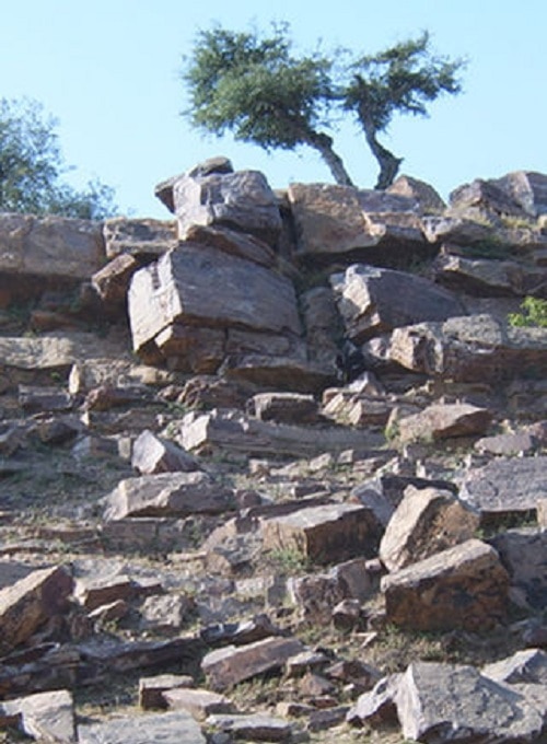 21 किलोमीटर की परिक्रमा