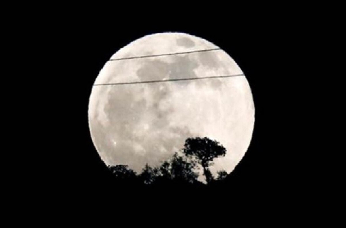 कैसे दें चन्द्रमा को विशेष अर्घ्य?