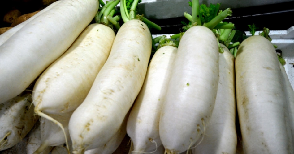 पोषक तत्वों से भरपूर