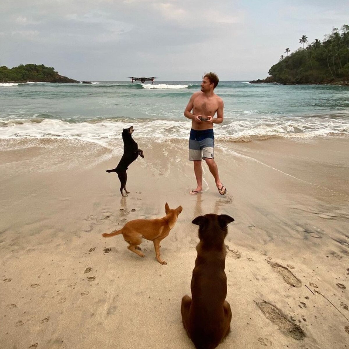 फोटो क्रेडिट- Rob Lewis_elitebandwagon