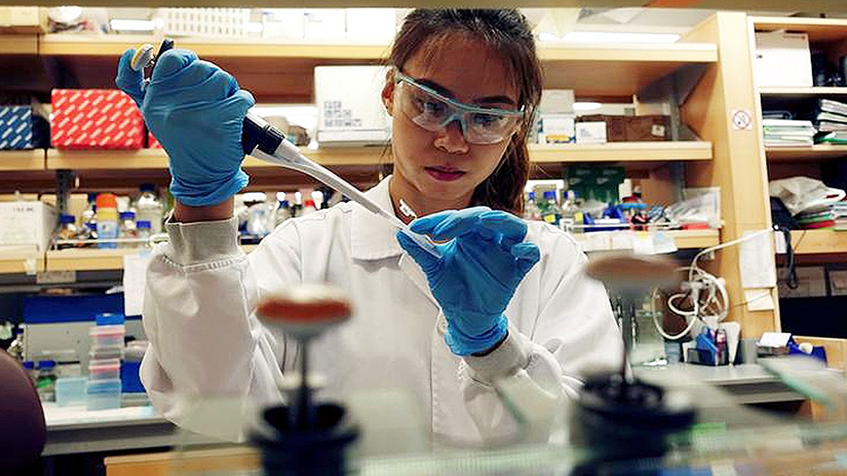 Serum Institute to supply Corona Vaccine to India First 