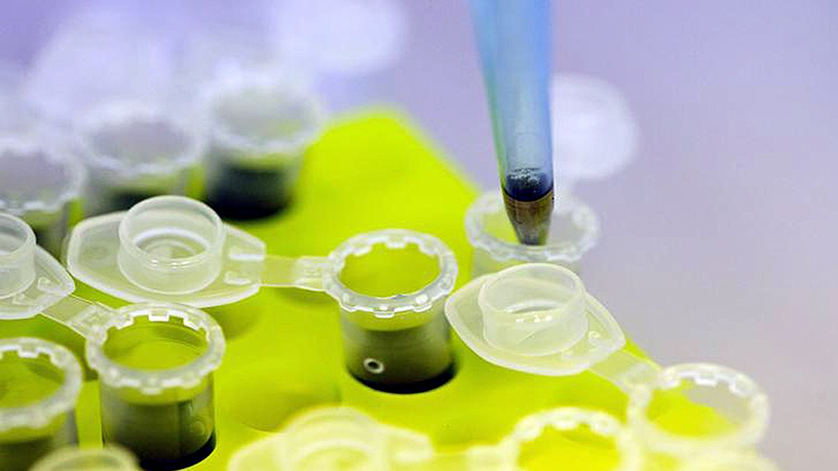 Serum Institute to supply Corona Vaccine to India First 