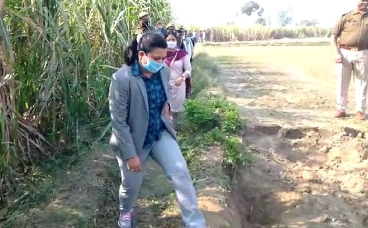 'खेत से निकले सोने-चांदी के सिक्के'