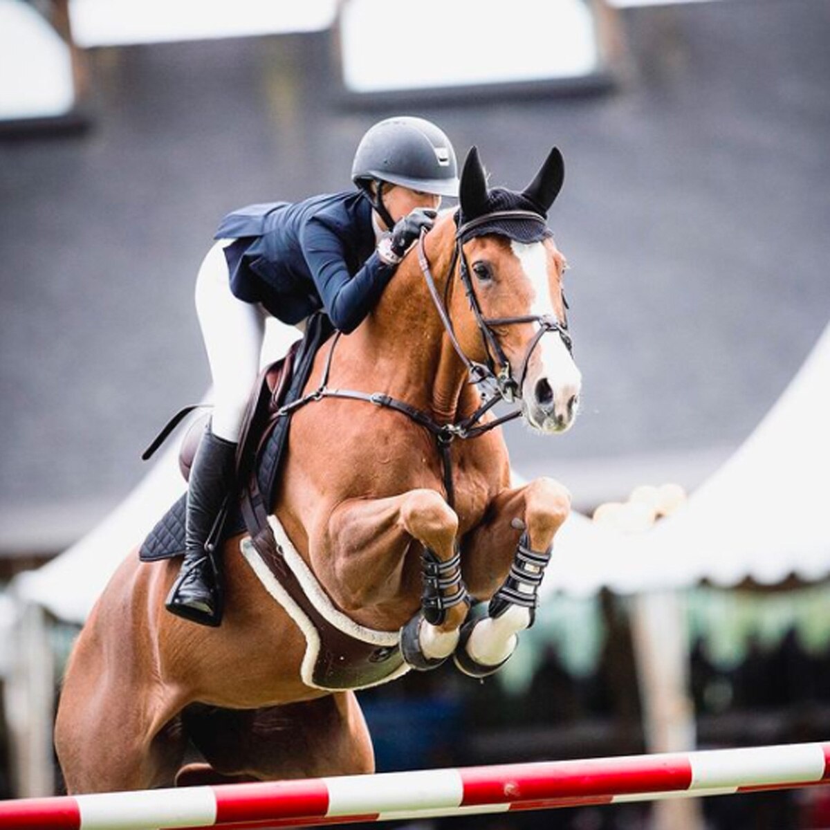 इव जॉब्स 