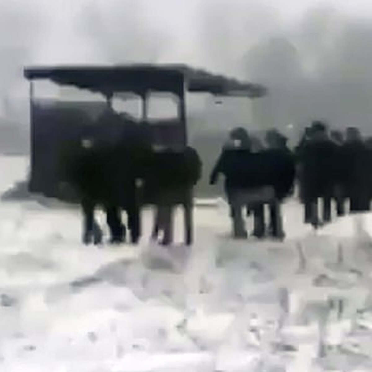 रूस का गांव