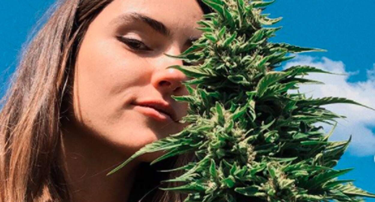 प्रतीकात्मक तस्वीर