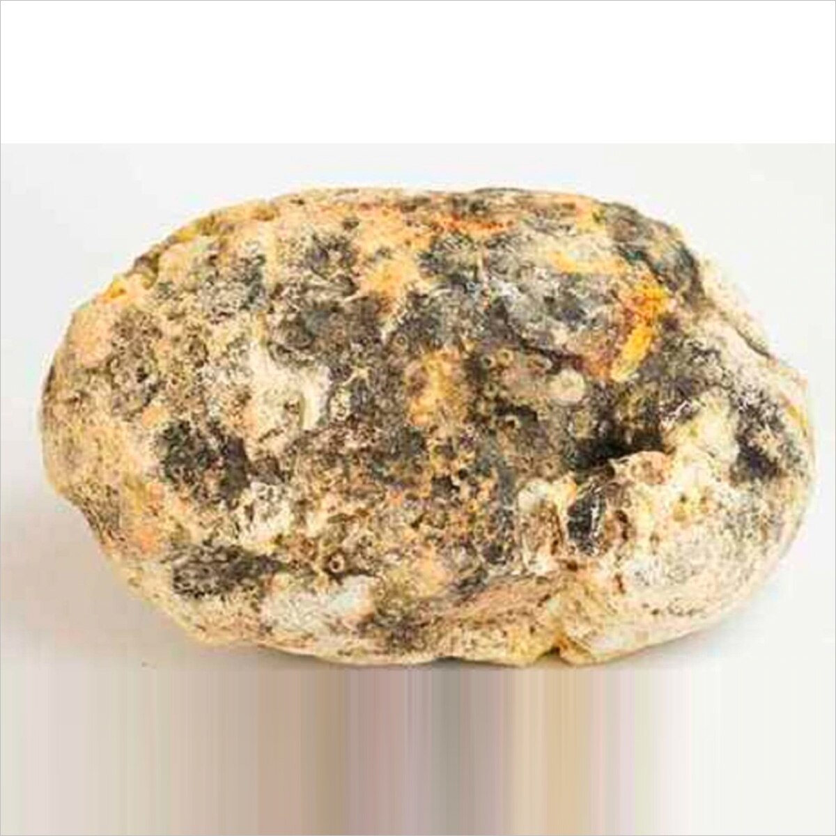 प्रतीकात्मक तस्वीर