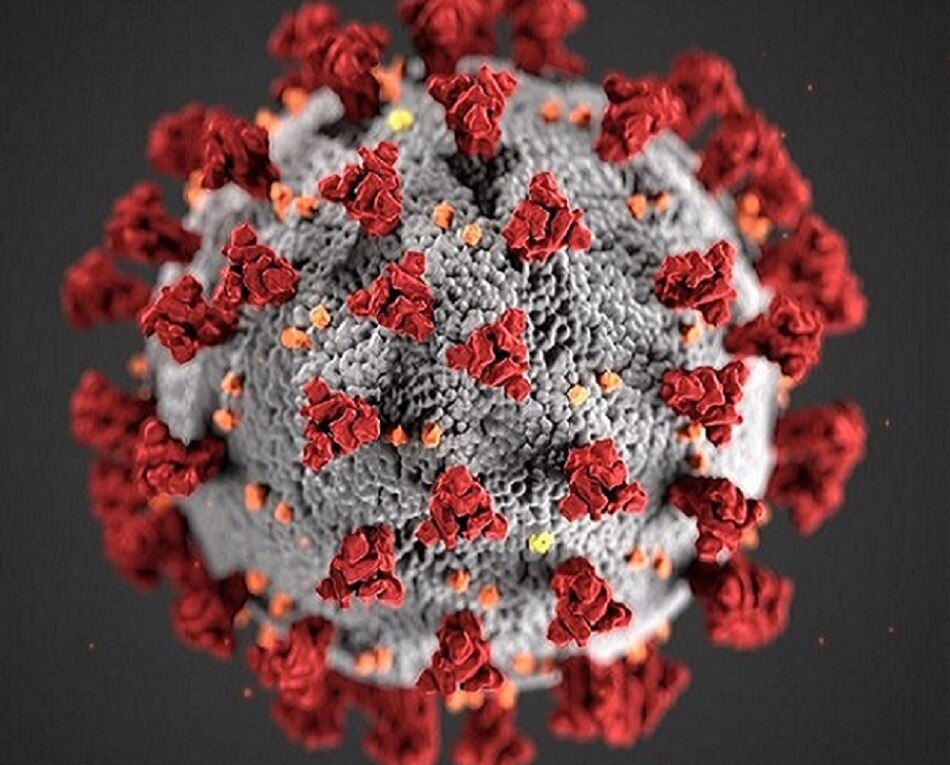 जल्द काबू में आ सकता है नया स्ट्रेन!