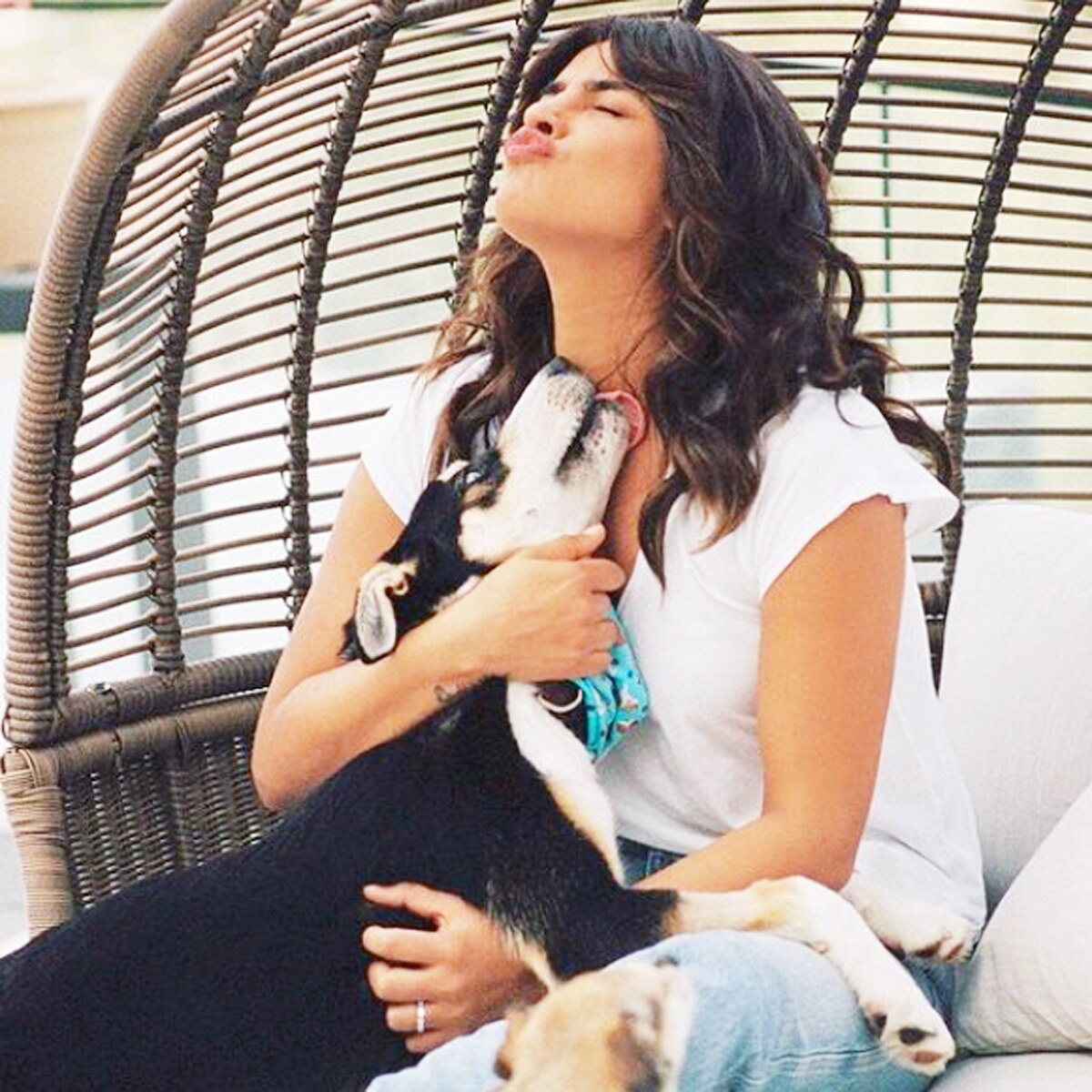 प्रियंका चोपड़ा 