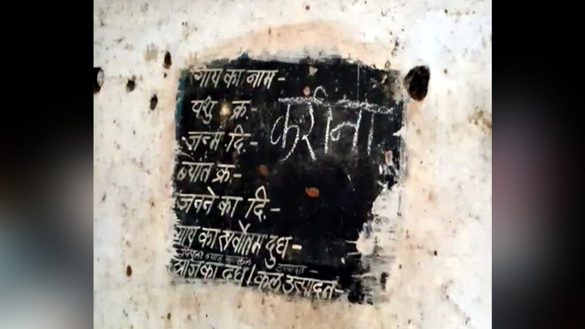  ज‍िस गाय का पुकारते हैं नाम, उसका बछड़ा पहुंचता है अपनी मां के पास, ऐसा प्रजनन केंद्र अब संकट में   