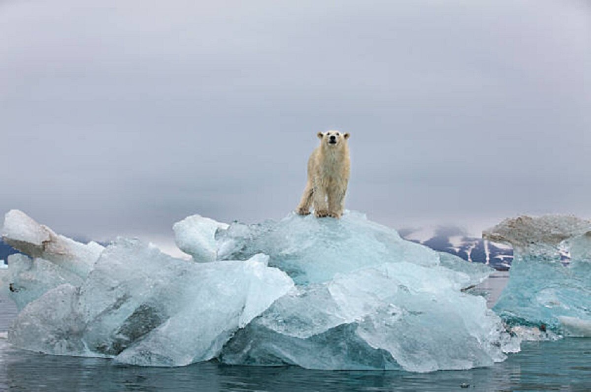 कैसे बनते हैं ग्लेशियर