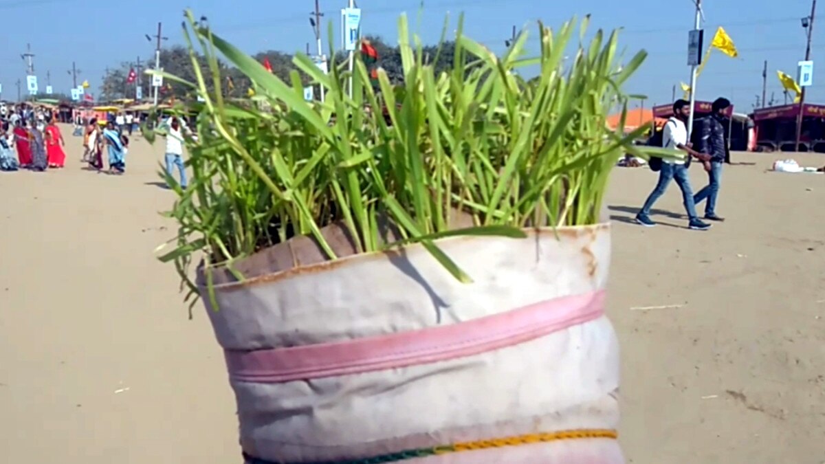 राम मंदिर के लिए साधु का अनोखा प्रण