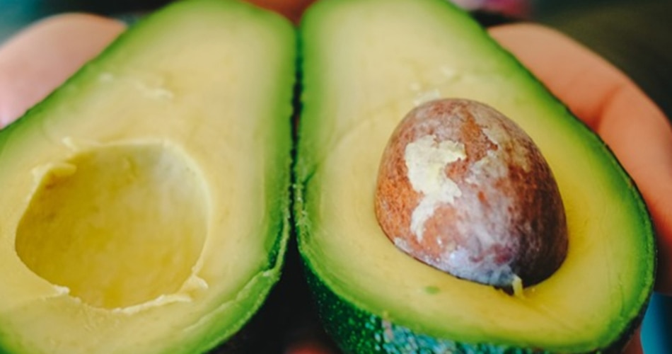 एवोकाडो