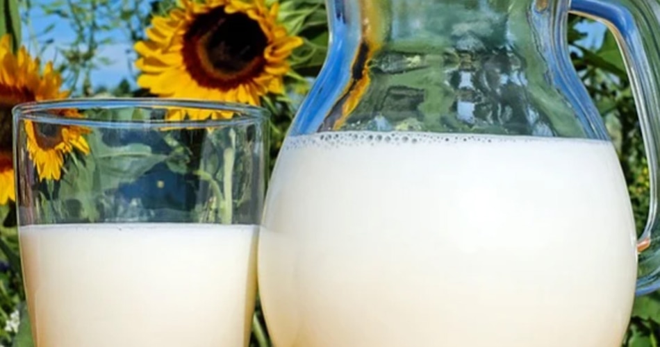 डेयरी प्रोडक्टस