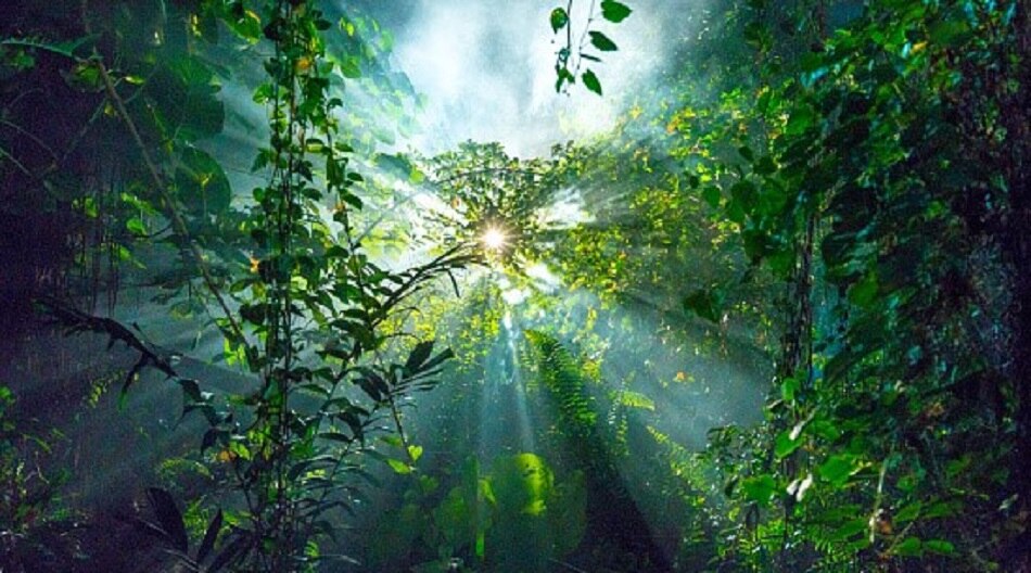 रामसन गांव (गुजरात)