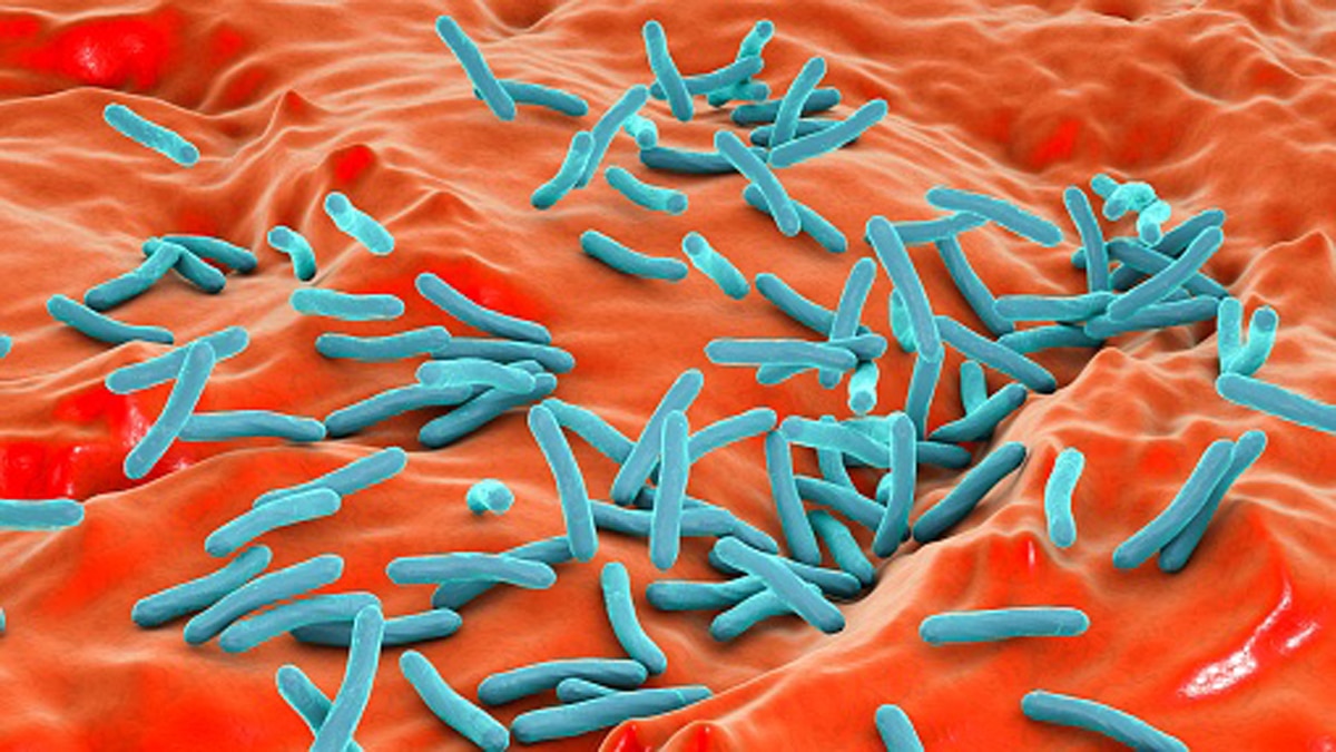 इन बातों का रखें ध्यान