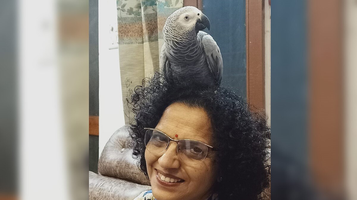 इंसान की तरह बोलने वाला तोता गायब