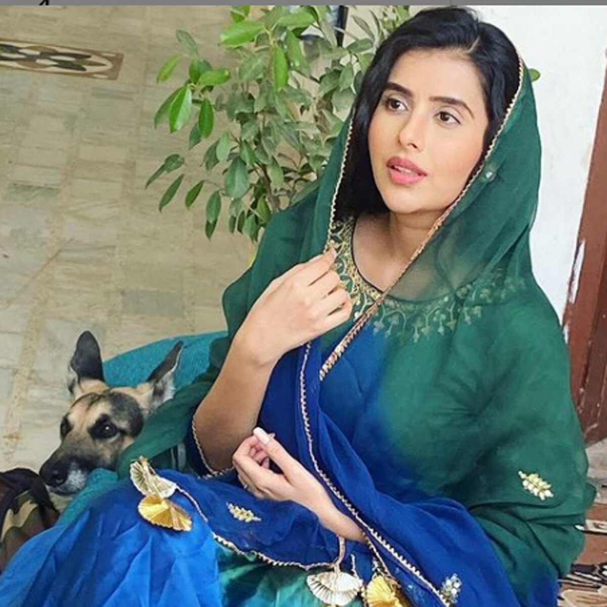 चारु असोपा