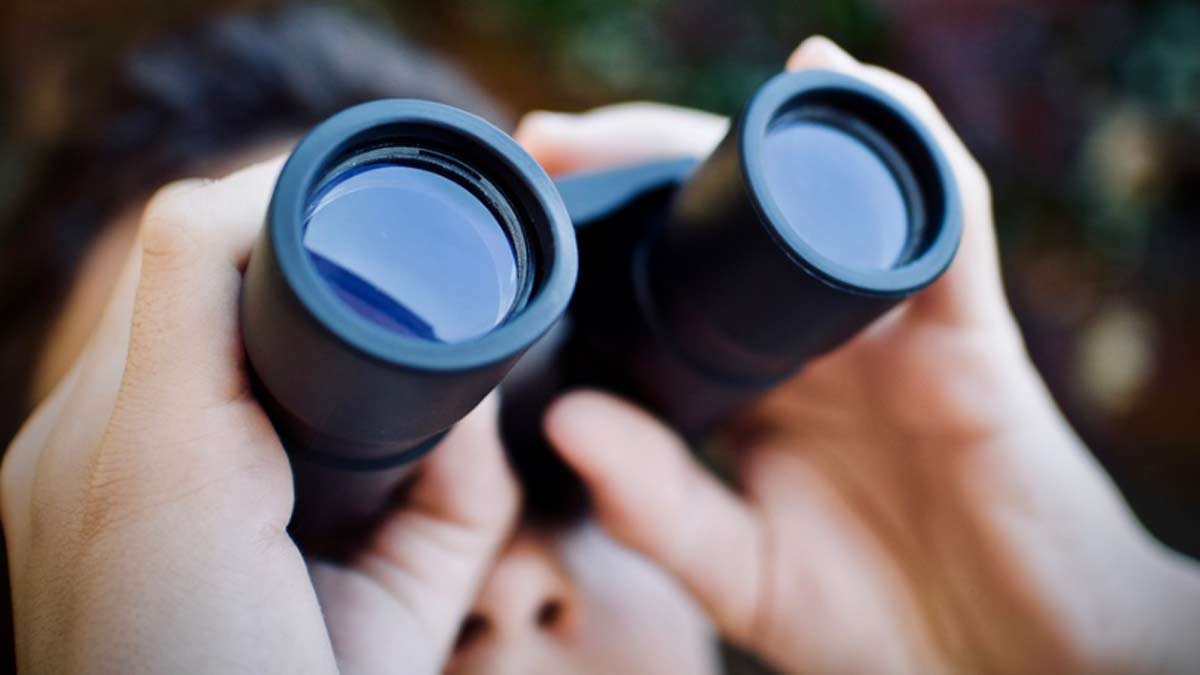  चंद्र ग्रहण 