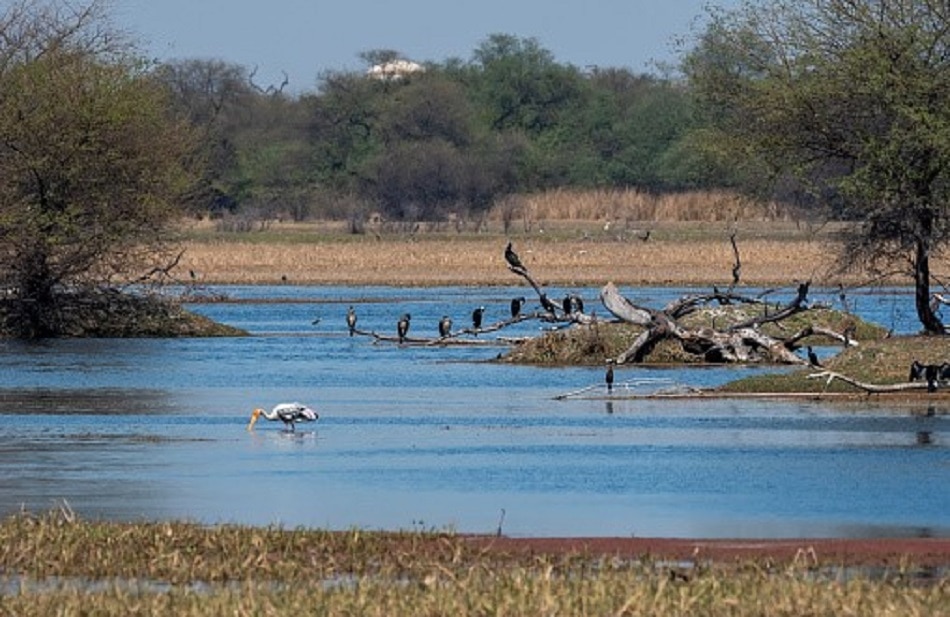 दिल्ली-NCR के करीब10 खूबसूरत डेस्टिनेशन