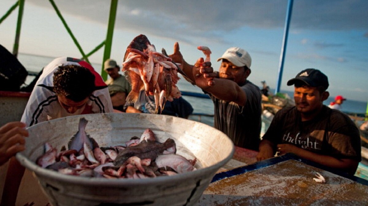 सालभर से चल रही क्रिप्टोकरेंसी!