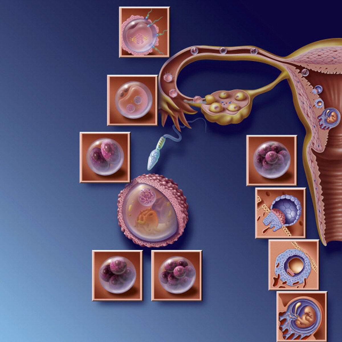 man who fathered thousand children