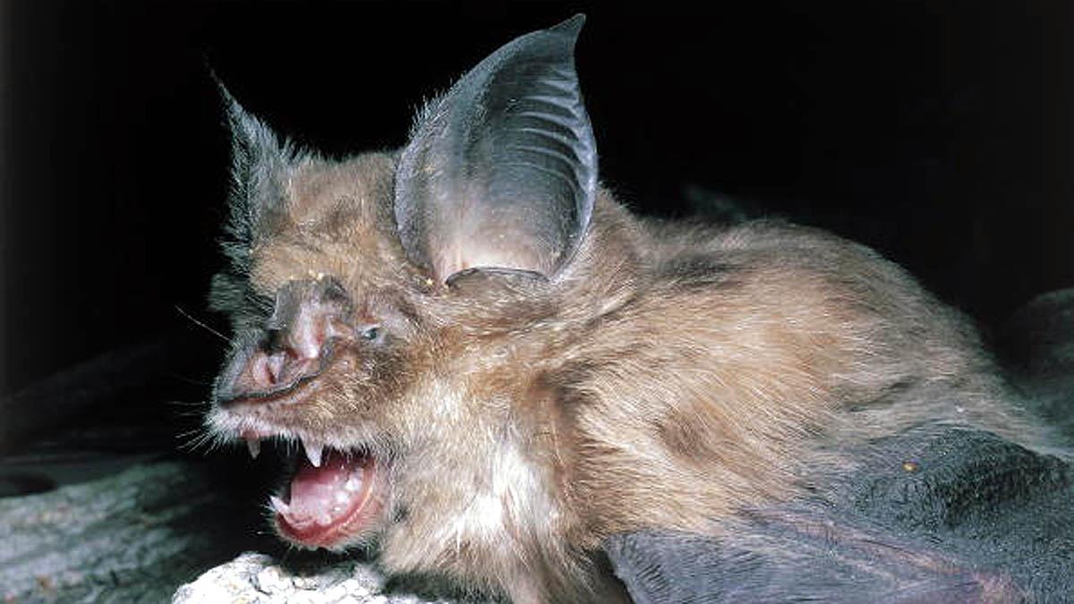 New Coronavirus Hot spots 