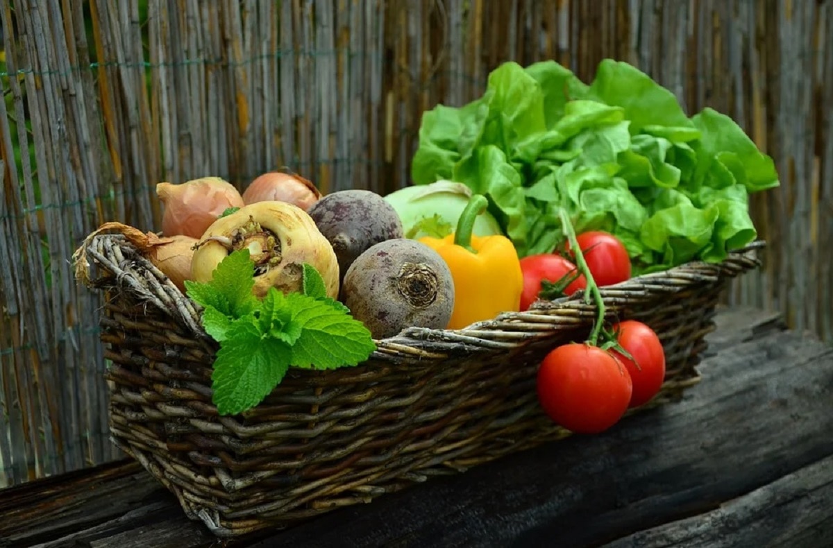 स्पर्म काउंट के लिए खतरनाक गांजा-स्टेरॉयड