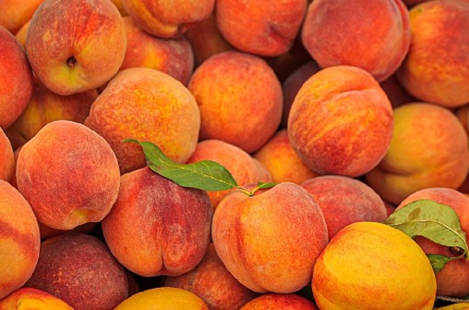 मॉनसून में जरूर खाएं ये 10 फल