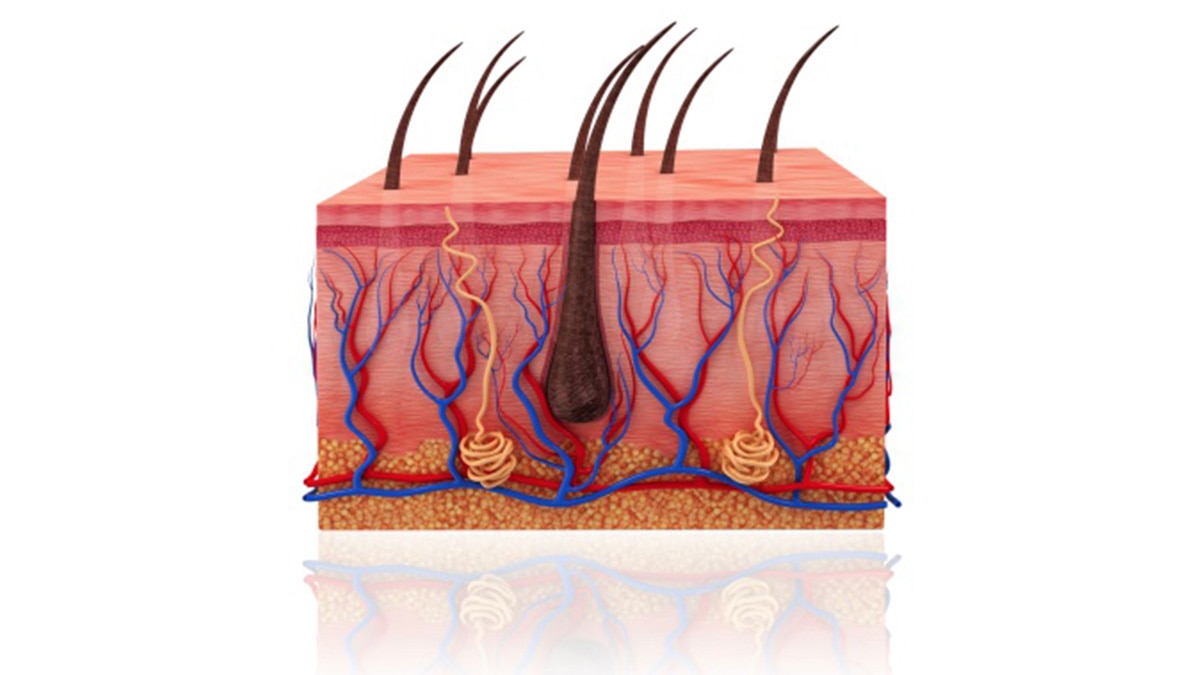 दवाओं का साइड इफेक्ट-