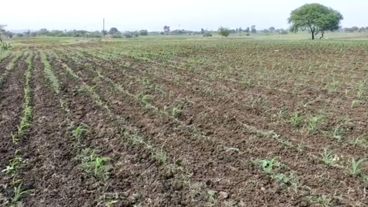  कलेक्टर ने किसान को करोड़ों की 16 बीघा जमीन वापस दिलाई