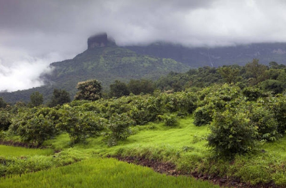 10,000 में जन्नत की सैर