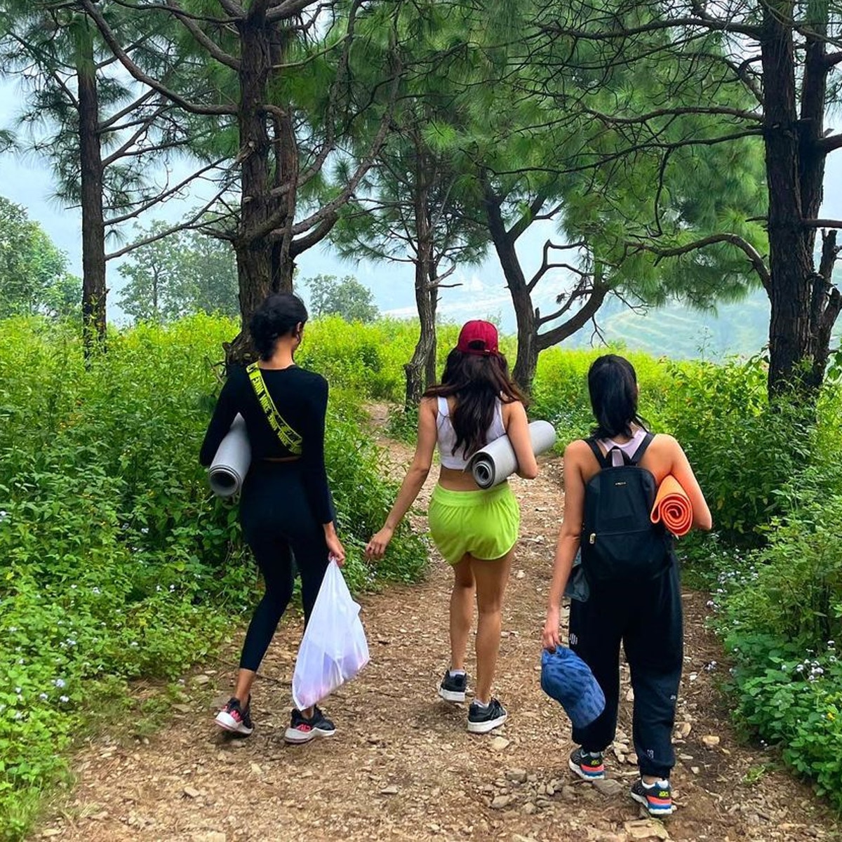 जाह्नवी कपूर 