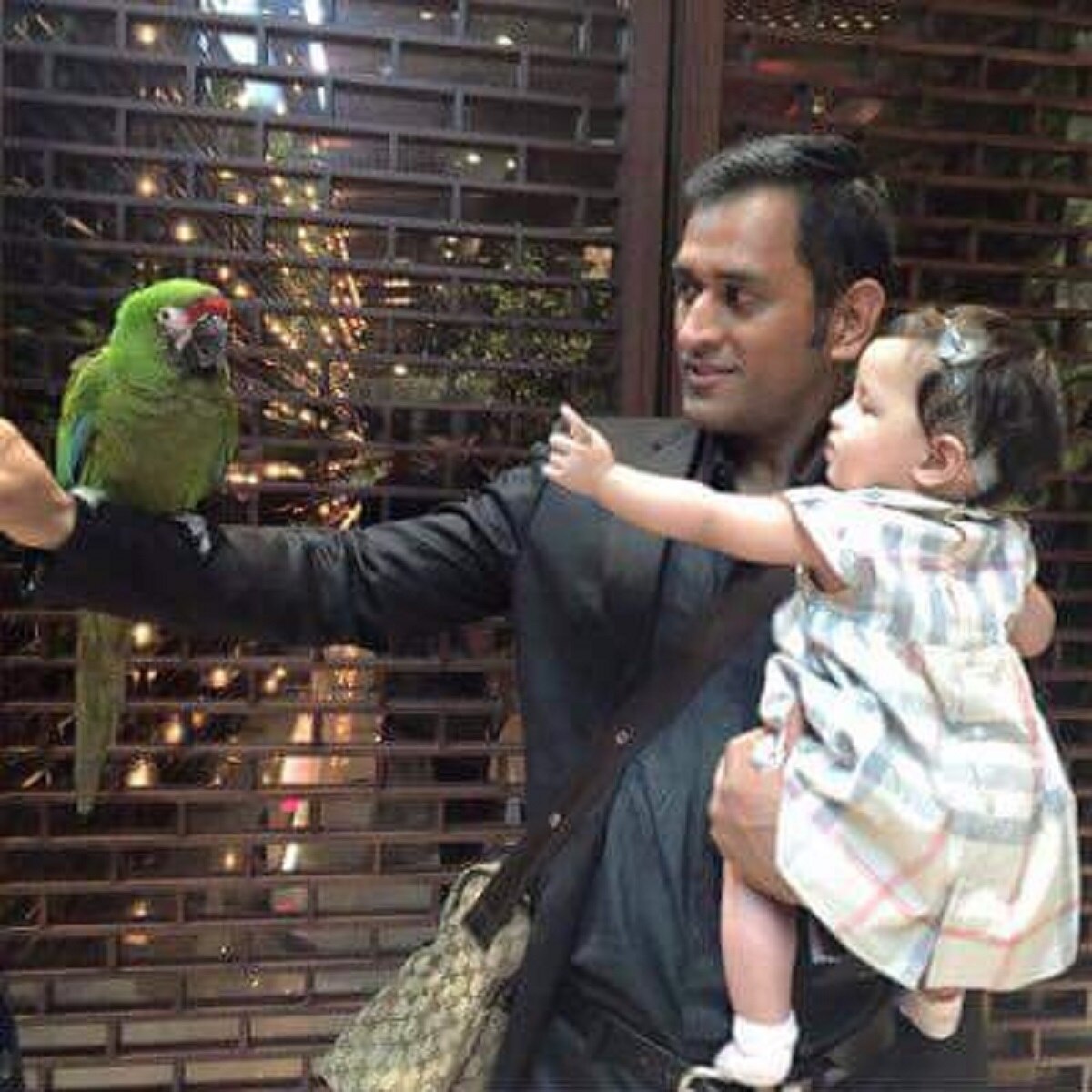 ms dhoni ziva