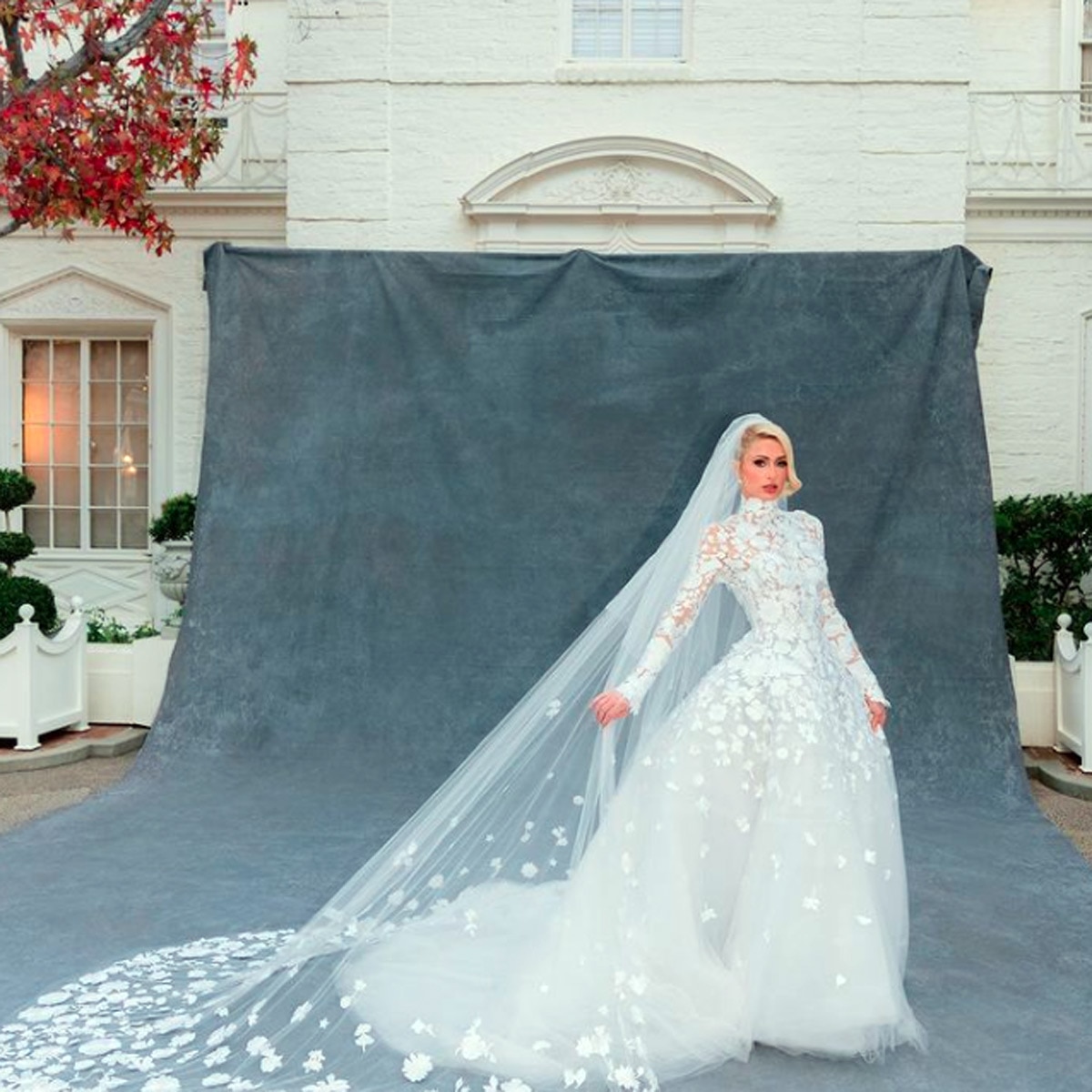 पेर‍िस हिल्टन