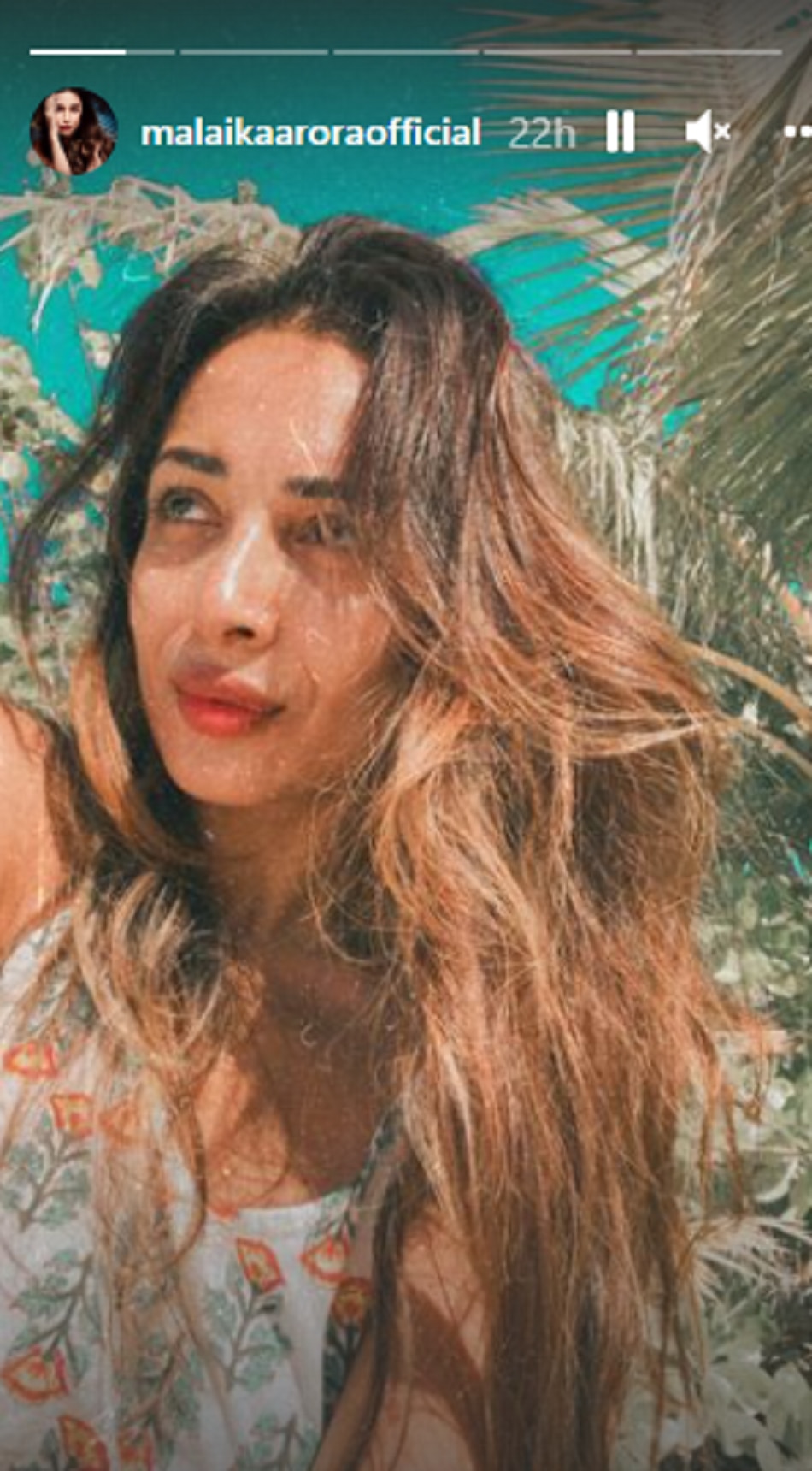 मलाइका अर्जुन