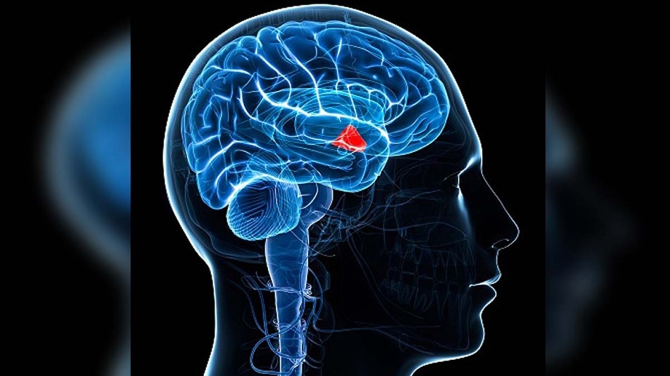 Why do I feel So cold?