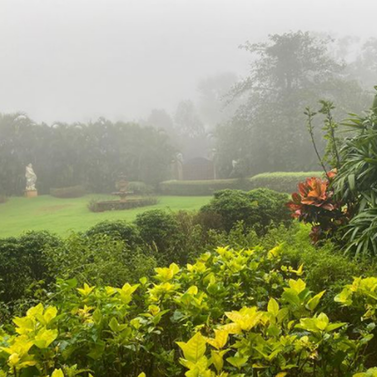 फार्म हाउस की तस्वीर