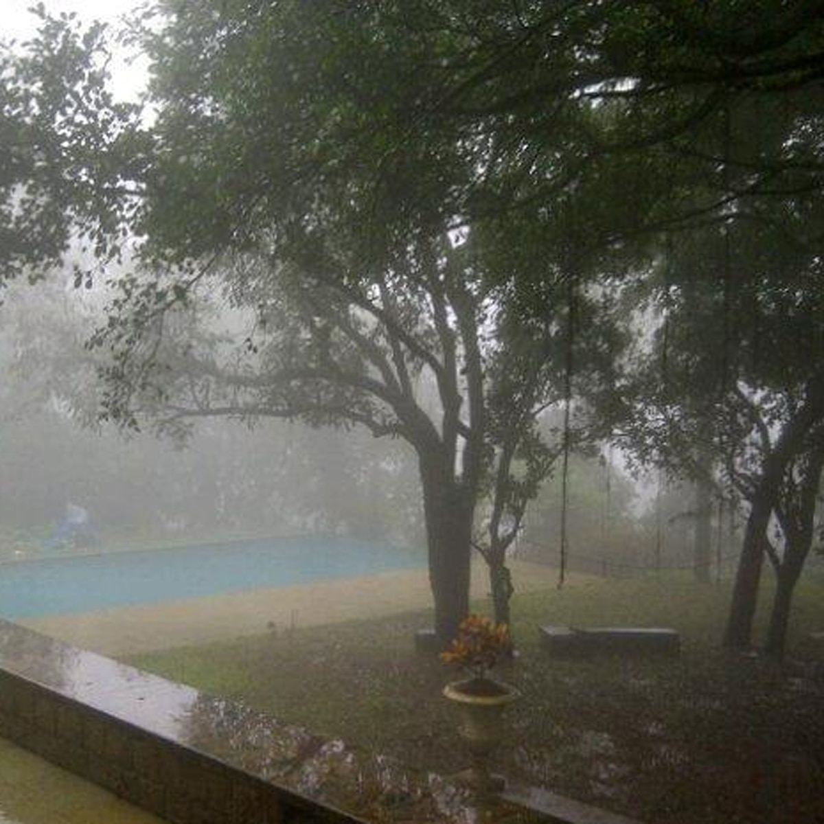 फार्म हाउस की तस्वीर