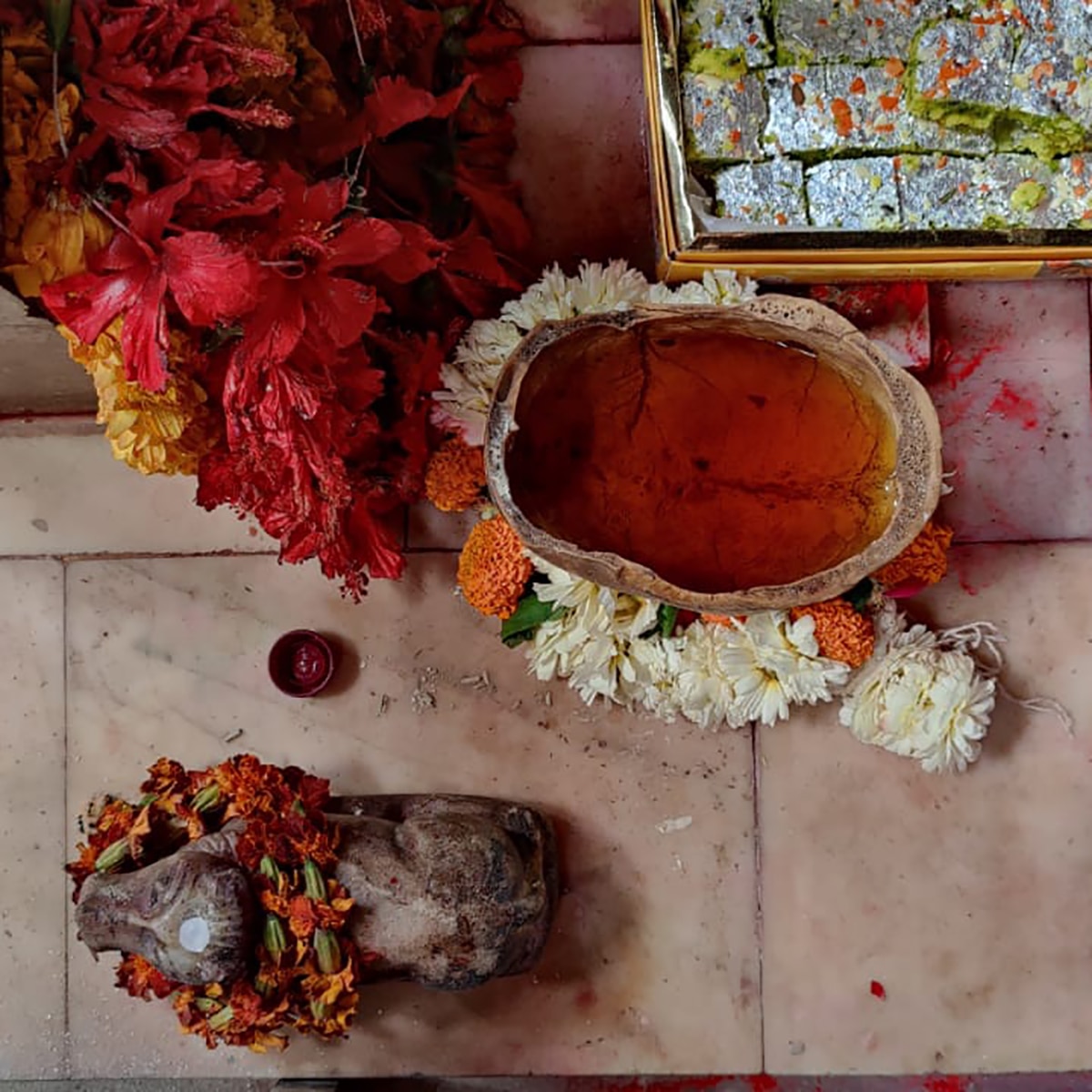 banaras bhasma holi 2022