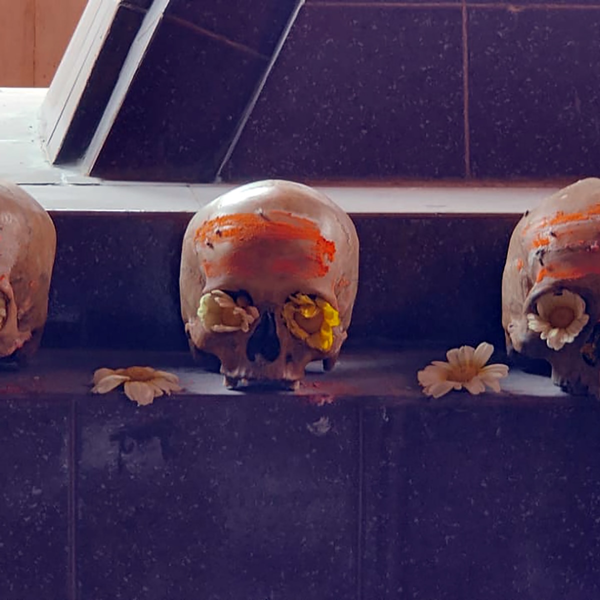 banaras bhasma holi 2022