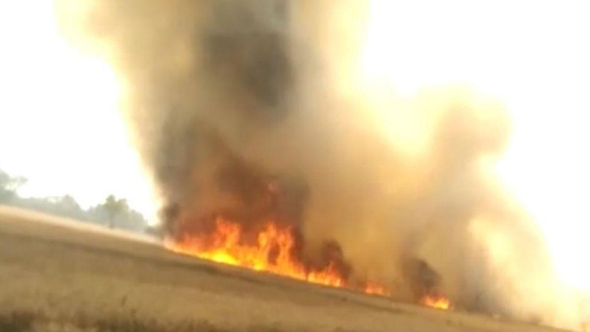 आग लगने से खाक हो गई 60 बीघा खेत में खड़ी गेहूं की फसल. (Photo: Aajtak)